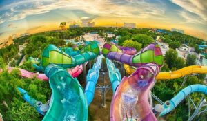 ثقة الاقتصادية للبحوث والدراسات